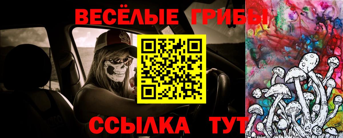 Псилоцибиновые грибы GOLDEN TEACHER Северобайкальск